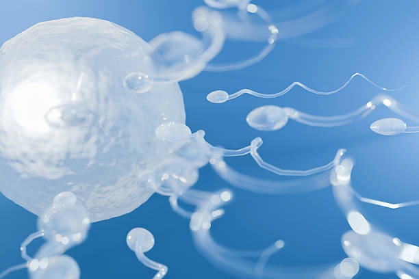 How Many Cycles Are Needed and What Do They Cost in India?