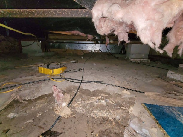 Crawlspace Encapsulation Woodstock The Smart Investment for Your Home